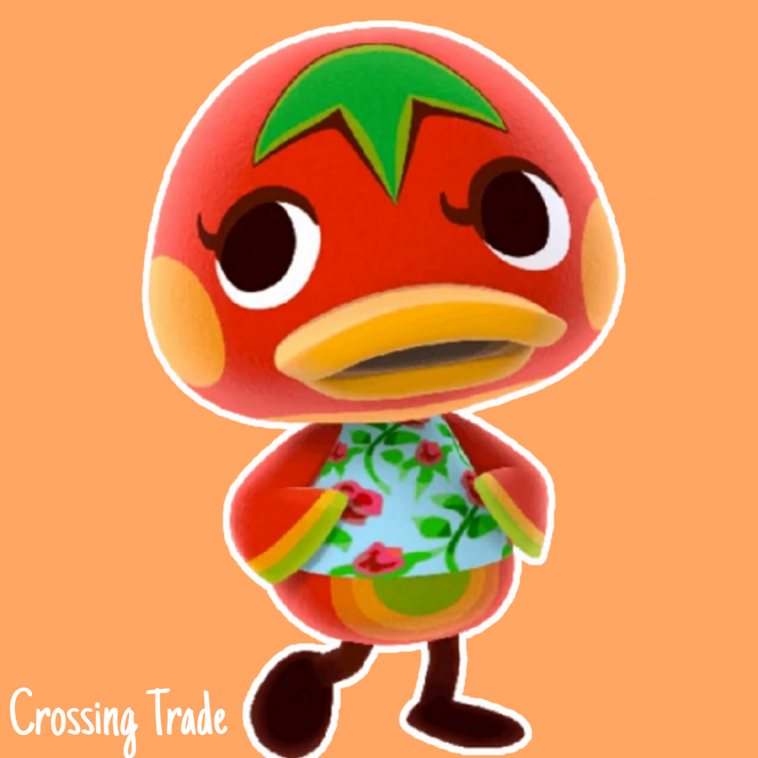 Ketchup Crossing Trade