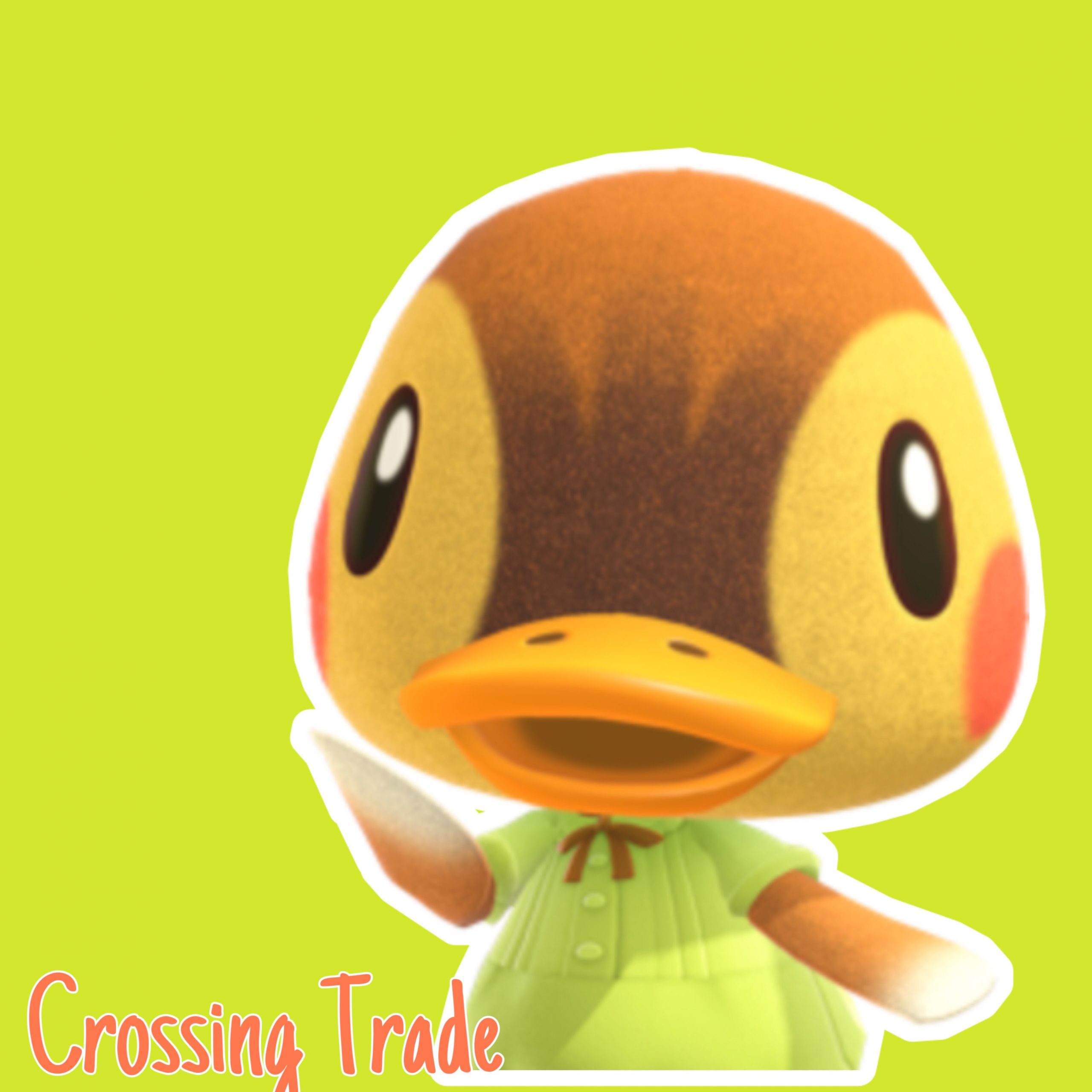 Molly Crossing - hl9q5nk